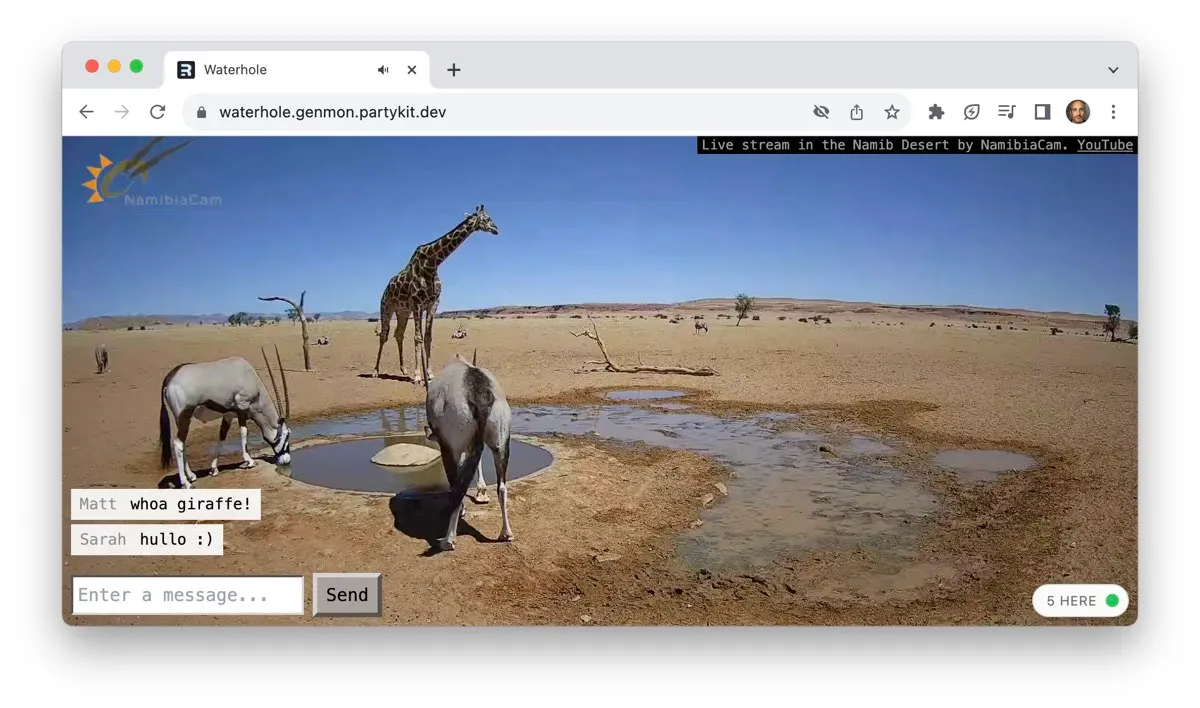 The Namib Desert watering hole livestream